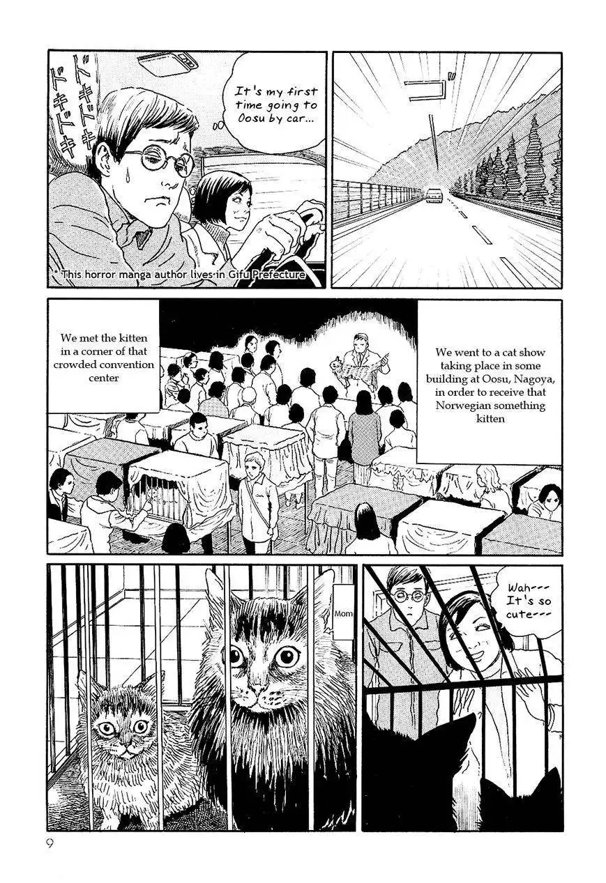 Ito Junji's Cat Diary Chapter 1 13